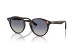 Rayban