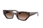 Rayban