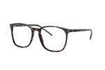 Rayban