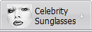 Celebrity 
Sunglasses