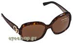 Οπτικά Γυαλιά Ηλίου Ferragamo 2173 102/73 Τιμή: 111,00
