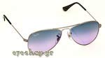 Οπτικά Γυαλιά Ηλίου RayBan Junior 9506S 200/90 έως 6 ετών Τιμή: 61,00