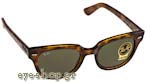 Γυαλιά Ηλίου RayBan Meteor 4168 710