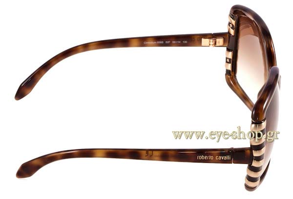 Roberto Cavalli Eye-Shop