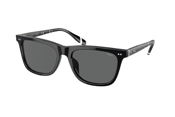 Γυαλιά Polo Ralph Lauren 4205U 500187