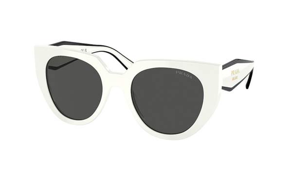 Γυαλιά Prada 14WS 1425S0