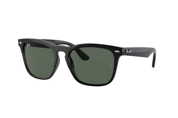 Γυαλιά Rayban 4487 STEVE 662971