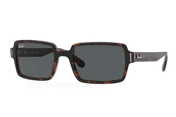 Γυαλιά Rayban 2189 BENJI 1292B1