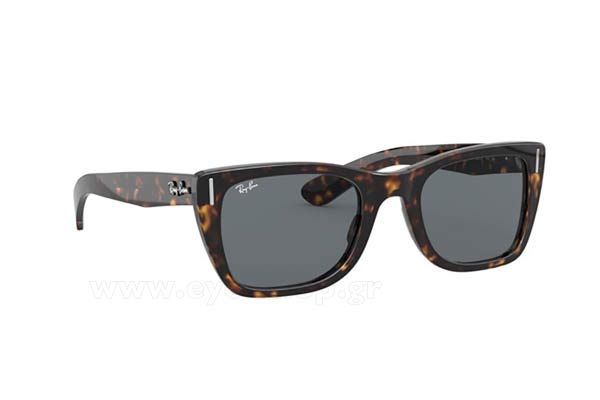 Γυαλιά Rayban 2248 CARIBBEAN 902/R5