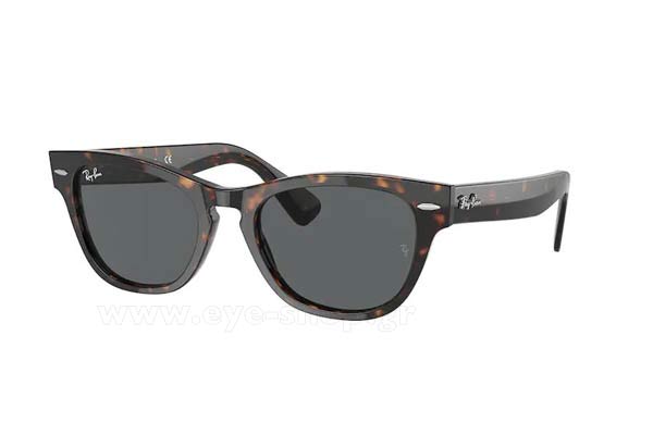 Γυαλιά Rayban 2201 Laramie 902/B1