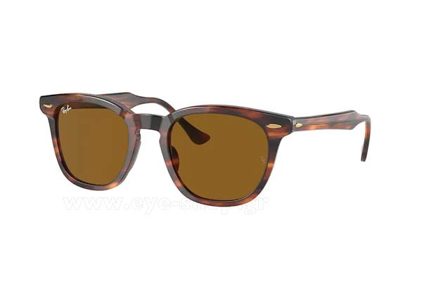 Γυαλιά Rayban 2298 HAWKEYE 954/33