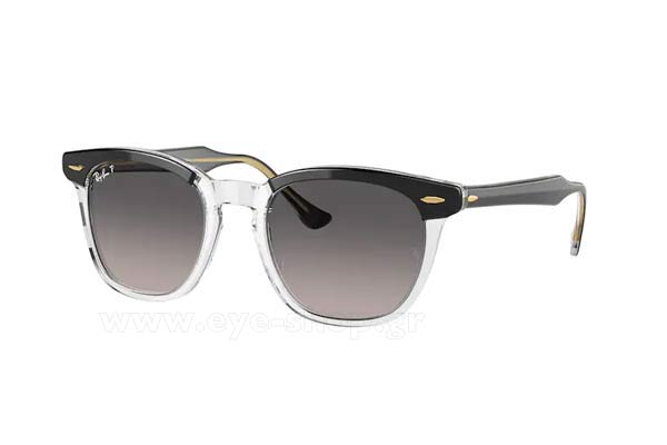 Γυαλιά Rayban 2298 HAWKEYE 1294M3