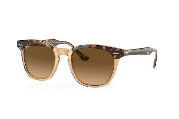 Γυαλιά Rayban 2298 HAWKEYE 1292M2