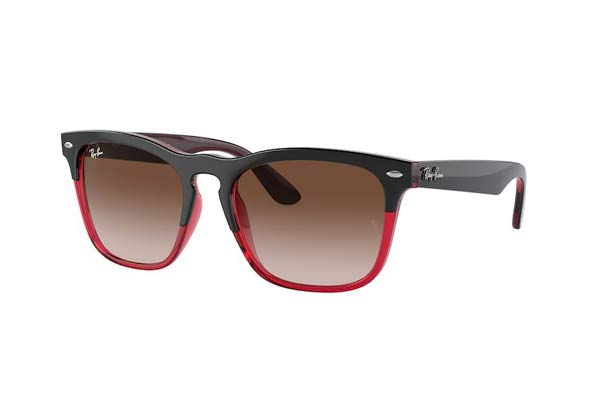 Γυαλιά Rayban 4487 STEVE 663113