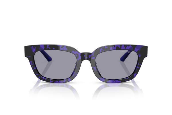EMPORIO ARMANI 4233U Γυαλια Ηλιου 