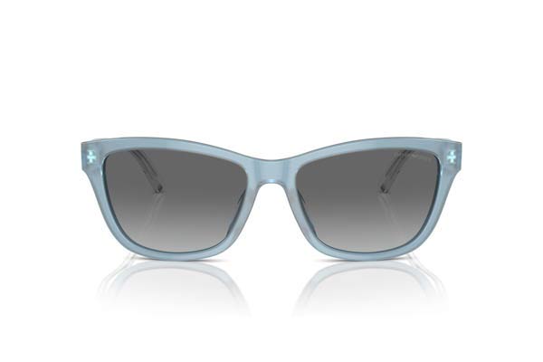 EMPORIO ARMANI 4227U Γυαλια Ηλιου 
