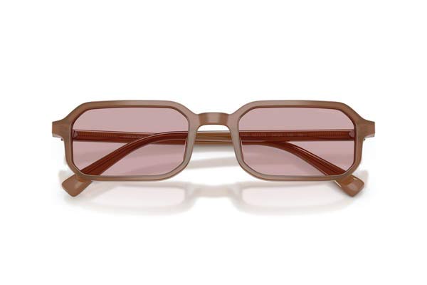 EMPORIO ARMANI 4253U Γυαλια Ηλιου 