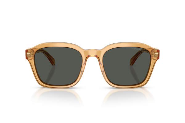 EMPORIO ARMANI 4245U Γυαλια Ηλιου 