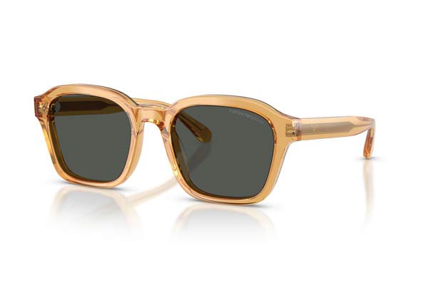 EMPORIO ARMANI 4245U Γυαλια Ηλιου 