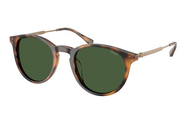 POLO RALPH LAUREN 4239U 500371 — γυαλιά ηλίου
