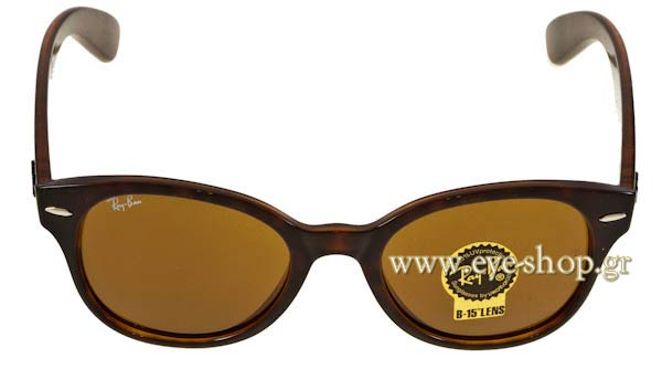 RAYBAN 4141 Γυαλια Ηλιου 