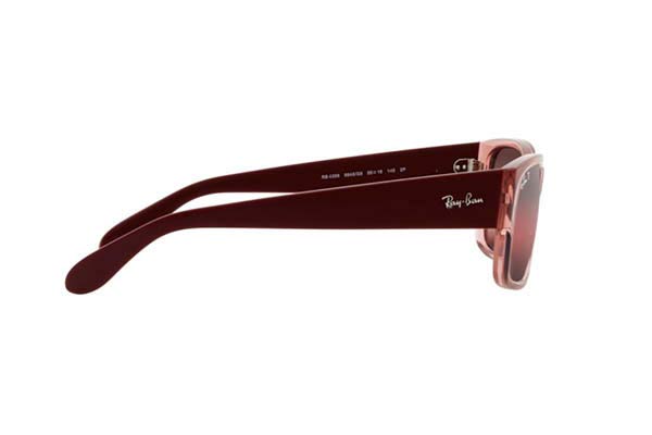 RAYBAN 4388 Γυαλια Ηλιου 