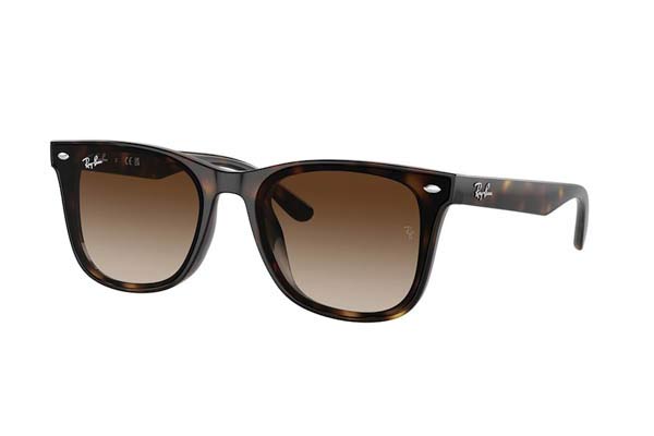 RAYBAN 4420 Γυαλια Ηλιου 