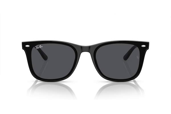 RAYBAN 4420 Γυαλια Ηλιου 