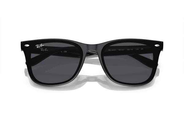 RAYBAN 4420 Γυαλια Ηλιου 