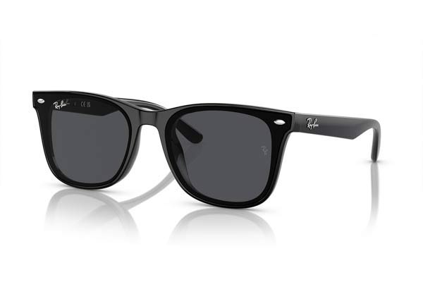 RAYBAN 4420 Γυαλια Ηλιου 