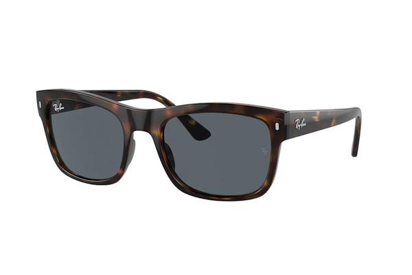 RAYBAN 4428 Γυαλια Ηλιου 