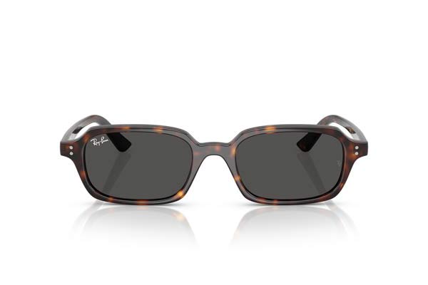RAYBAN 4455 ZURI Γυαλια Ηλιου 