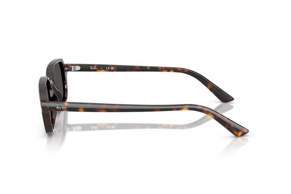RAYBAN 4455 ZURI Γυαλια Ηλιου 