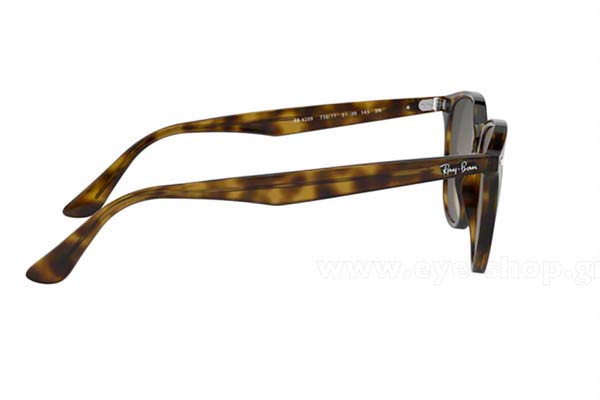 RAYBAN 4259 Γυαλια Ηλιου 