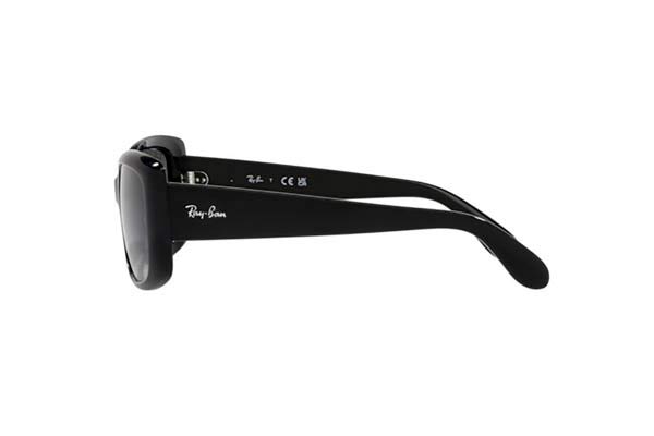 RAYBAN 4389 Γυαλια Ηλιου 