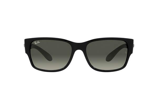 RAYBAN 4388 Γυαλια Ηλιου 