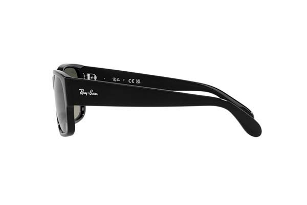 RAYBAN 4388 Γυαλια Ηλιου 