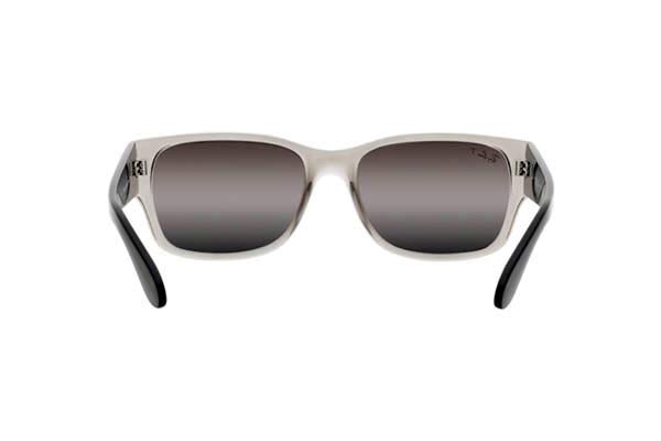 RAYBAN 4388 Γυαλια Ηλιου 