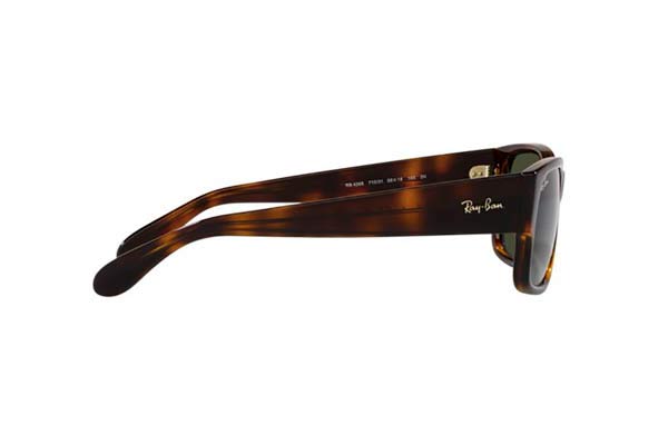 RAYBAN 4388 Γυαλια Ηλιου 