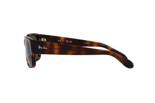 RAYBAN 4388 Γυαλια Ηλιου 