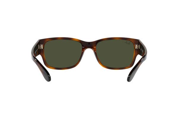 RAYBAN 4388 Γυαλια Ηλιου 