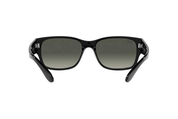 RAYBAN 4388 Γυαλια Ηλιου 