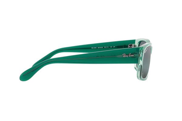 RAYBAN 4388 Γυαλια Ηλιου 