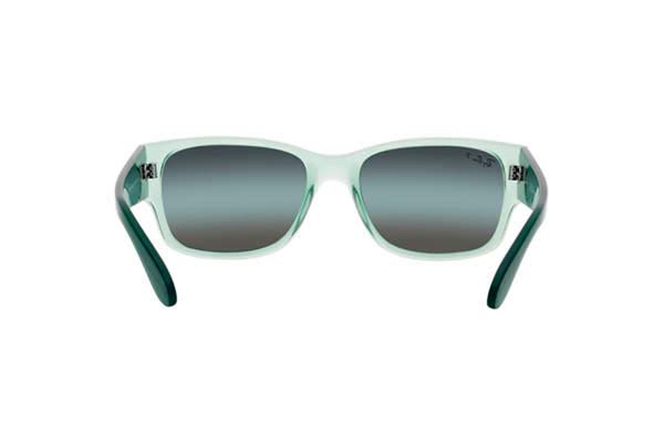 RAYBAN 4388 Γυαλια Ηλιου 