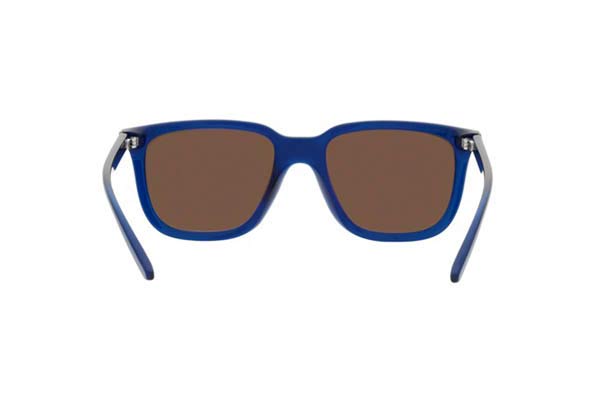 ARNETTE 4306 PLAKA Γυαλια Ηλιου 