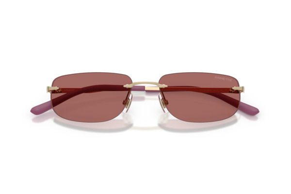 ARNETTE 3096 Γυαλια Ηλιου 