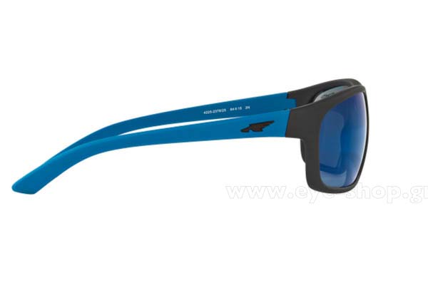 ARNETTE BURNOUT 4225 Γυαλια Ηλιου 