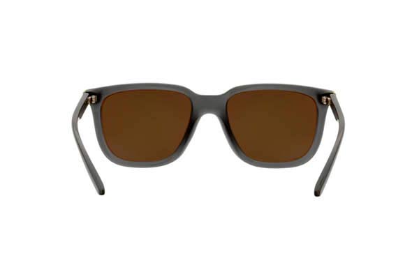 ARNETTE 4306 PLAKA Γυαλια Ηλιου 