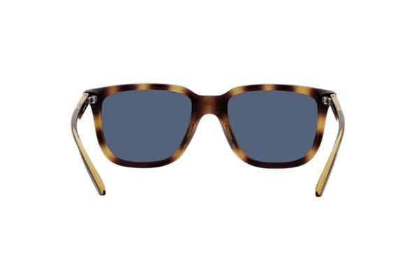 ARNETTE 4306 PLAKA Γυαλια Ηλιου 