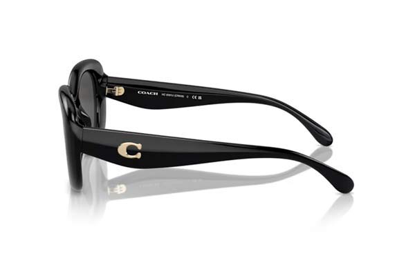 COACH 8391U CR609 Γυαλια Ηλιου 